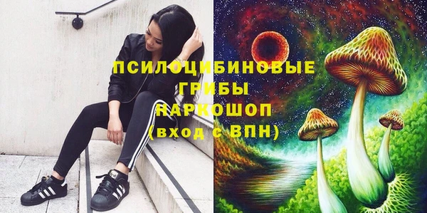 MDMA Premium VHQ Каменск-Шахтинский