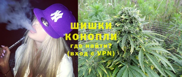 прущий лед Каменка