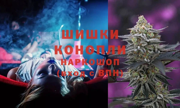прущий лед Каменка