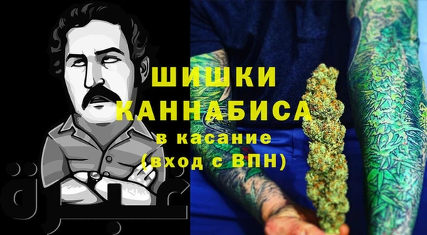 прущий лед Каменка