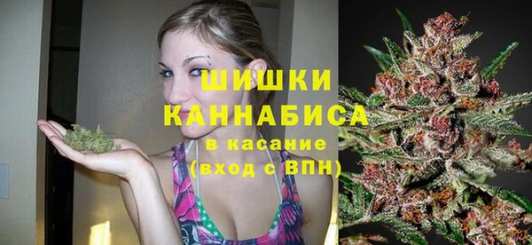 прущий лед Каменка