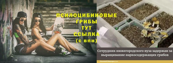 кокаин перу Каменногорск